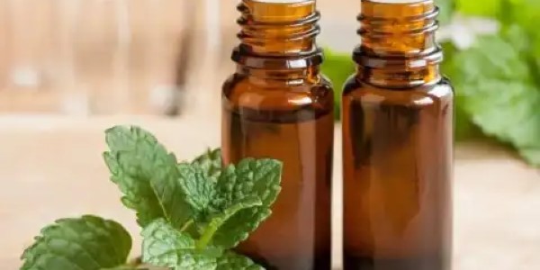 تصویر 2 از قیمت عرق گیاهی نعناع + خرید باور نکردنی